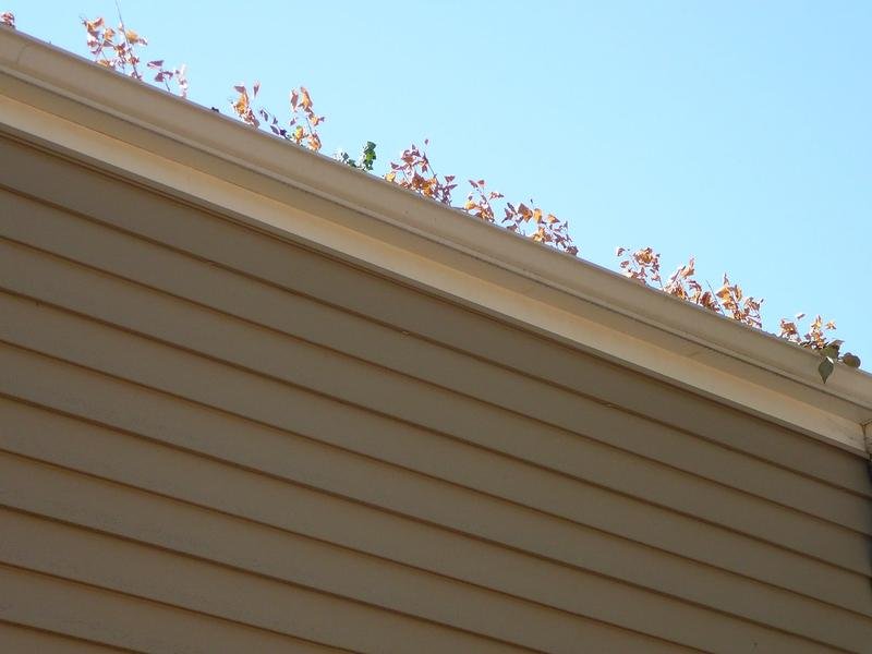 Seamless Gutters in Wausau