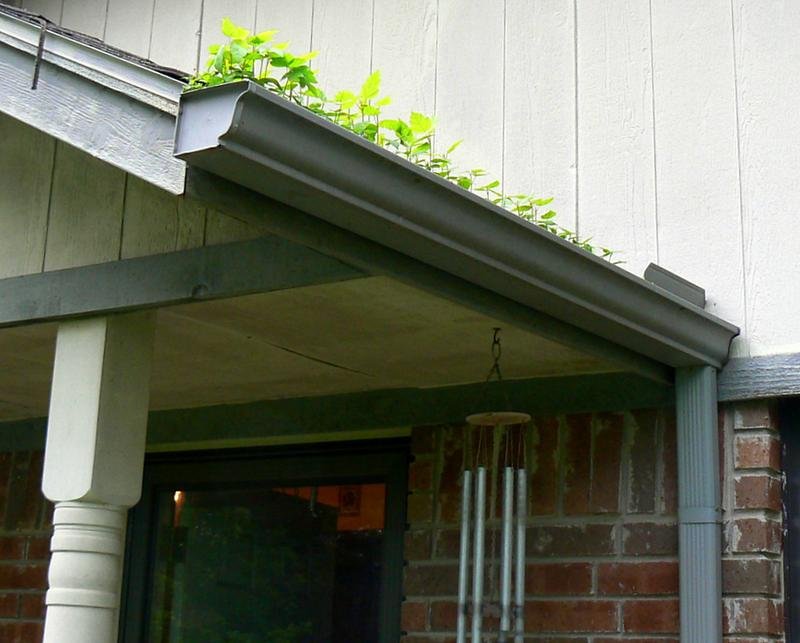 Gutter Guards in Wausau